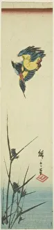 Kingfisher Prints: Kingfisher and reeds, c. 1840. Creator: Ando Hiroshige