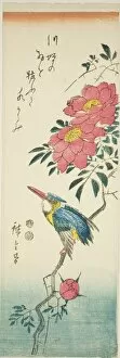 Roses Collection: Kingfisher and roses, c. 1847/52. Creator: Ando Hiroshige
