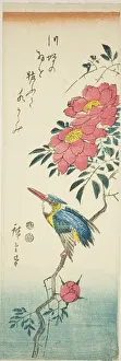 Aitanzaku Prints: Kingfisher and roses, c. 1847/52. Creator: Ando Hiroshige