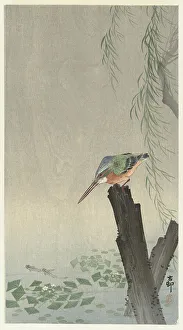 Landscapeanimals And Birds Prints: Kingfisher on tree stump. Creator: Ohara, Koson (1877-1945)