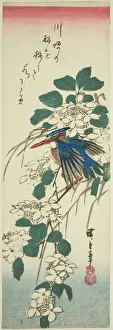 Chutanzaku Prints: Kingfisher and viburnum, 1840s. Creator: Ando Hiroshige