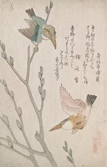 Kingfishers and Pussy-willow, 19th century. Creator: Kubo Shunman