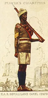 Battalion Gallery: Kings African Rifles: Somaliland Camel Corps, 1936. Creator: Unknown