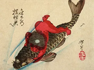Speed Prints: Kintaro Riding the Carp, 1882. Creator: Tsukioka Yoshitoshi