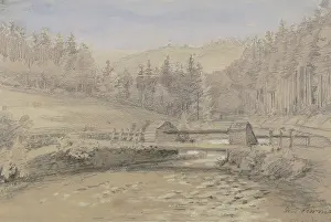 Saxony Anhalt Prints: The Kirnitzsch Valley near Schandau, 1873. Creator: Eugen Friedrich Peipers