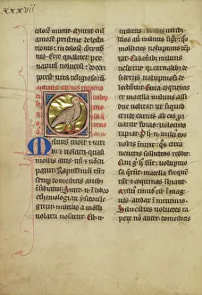 Bestiary Prints: A Kite (Bird); De Natura Avium; De Pastoribus et Ovibus