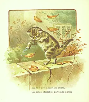 See the kitten, how she starts, Crouches, stretches, paws and darts, 1893. Creator: Jessie Hall