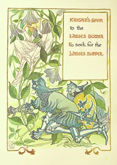 Wild Flower Prints: Knight's Spur to the Ladies Bower To seek for the Ladies Slipper