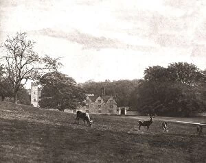 Estate Gallery: Knole Park, Sevenoaks, Kent, 1894. Creator: Unknown