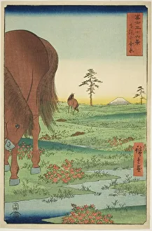 Kogane Plain in Shimosa Province (Shimosa Koganehara), from the series Thirty-six Views... 1858. Creator: Ando Hiroshige. Kogane Plain in Shimosa Province (Shimosa Koganehara), from the series Thirty-six Views... 1858