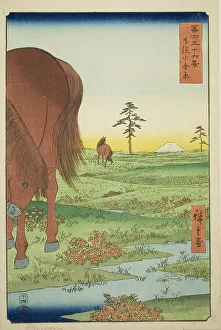 Kogane Plain in Shimosa Province (Shimosa Koganehara), from the series Thirty-six... 1858. Creator: Ando Hiroshige. Kogane Plain in Shimosa Province (Shimosa Koganehara), from the series Thirty-six... 1858. Creator: Ando Hiroshige