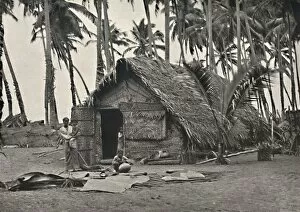 Palm Leaf Gallery: Kokospalmen und Einngeborenenhutte aus Kokosblattern (An den Stammen links, angebundene Blatter geg)