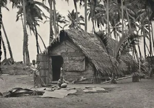 Palm Leaf Prints: Kokospalmen und Einngeborenenhutte aus Kokosblattern (An den Stammen links)