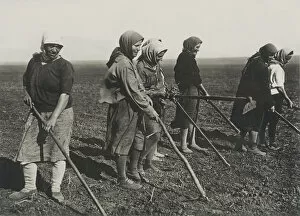 Collective Farm Gallery: Kolkhos women on the field, Early 1930s