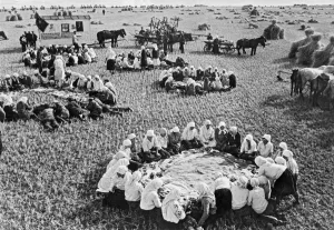 Collectivisation Gallery: Kolkhoz near Kiev, 1936