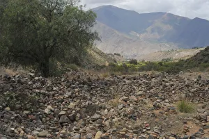 Kotosh, Huanuco, Peru, 2015. Creator: Luis Rosendo