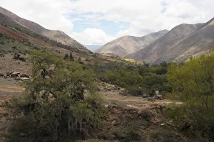 Kotosh, Huanuco, Peru, 2015. Creator: Luis Rosendo