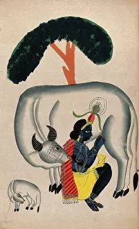 Krishna Prints: Krishna milking a cow while the calf looks. Creator: Unknown