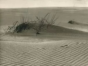 Kurische Nehrung - Shifting dune, 1931. Artist: Kurt Hielscher