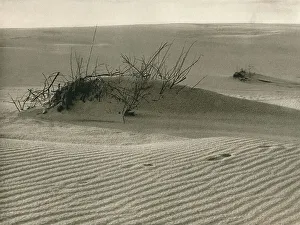 Kurische Nehrung - Shifting dune, 1931. Artist: Kurt Hielscher Kurische Nehrung - Shifting dune, 1931. Artist: Kurt Hielscher