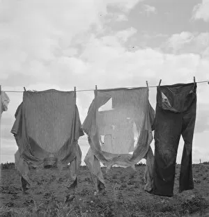 Washing Line Gallery: Detail on Kytta farm, Michigan Hill, Thurston County, Western Washington, 1939