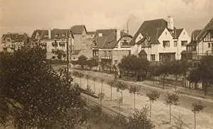 Coastal Resort Gallery: L Avenue Elisabeth, c1900. Creator: Unknown