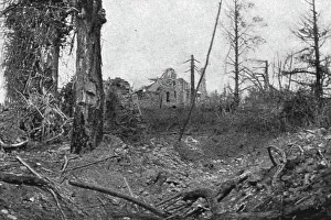 Biaches Hauts De France France Prints: La Bataille de la Somme; Dans le parc de la Maisonnette, 1916. Creator: Unknown