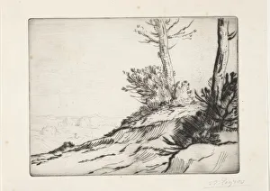 La butte aux broussailles. Creator: Alphonse Legros (French, 1837-1911)