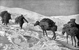 Supply Line Prints: La campagne d'hiver en Orient; Le ravitaillement dans la neige des postes francais et