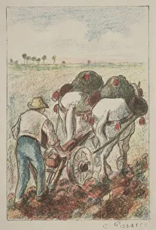 La Charrue, 1901. Creator: Camille Pissarro (French, 1830-1903)