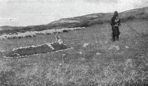 Macedonia Greece Prints: La guerre aerienne en Macedoine Grecque : un avion ennemi Descendu dans le lac amatovo