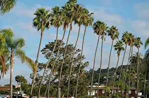 La Jolla, California, USA, 2022. Creator: Ethel Davies