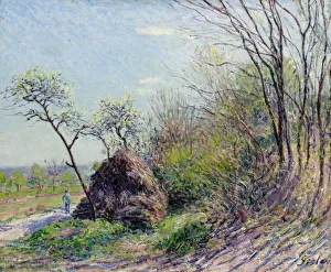 Alfred 1839 1899 Gallery: A la lisiere de la foret. Les Sablons, 1884-1885