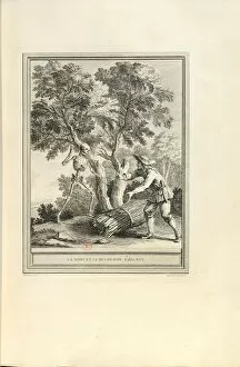 Danse Macabre Collection: La mort et le bucheron (The Death and the Woodcutter), 1755. Creator: Oudry, Jean-Baptiste