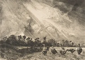 Bracquemond Felix Prints: La Nuee d orage, 1882-84. Creator: Felix Bracquemond