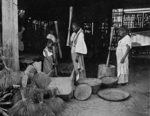 Rice Prints: La preparation du riz aux Philippines; Les Terres Du Pacifique, 1914. Creator: Unknown