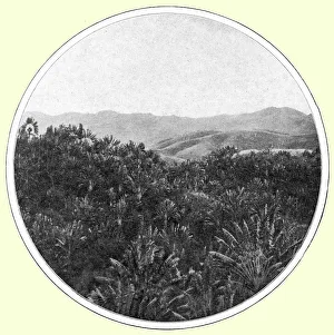Madagascar Prints: La region des a Madagascar; Iles Africaines de la mer des Indes