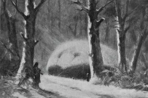 La Saucisse'; Garde de nuit d'une saucisse abritee dans un bois, 1916. Creator: Marodon. La Saucisse'; Garde de nuit d'une saucisse abritee dans un bois, 1916. Creator: Marodon