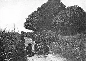 Congo Africa Prints: La taille d'un sentier dans les forets du Congo Belge; L'Ouest Africain