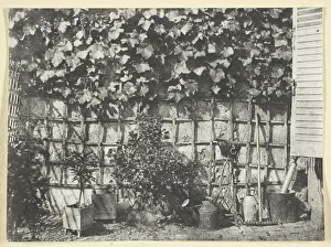 Watering Can Prints: La Treille, 1847, printed 1965. Creator: Hippolyte Bayard