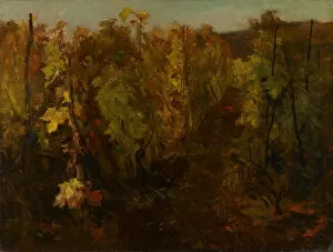 Charles Francois Daubigny Collection: La Vigne [The Vine], 1860-1863. Creator: Charles Francois Daubigny
