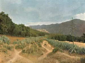 Fez Fes Morocco Prints: La Zaouia du Moulay Idriss; Afrique du nord, 1914. Creator: Jules Gervais-Courtellemont