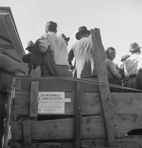 Peas Prints: Labor contractors truck with gang of pea pickers pulled up for gas