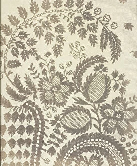1800s Gallery: Lace, 1844 / 45. Creator: William Henry Fox Talbot