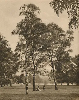 The Lace-Work of the Leaves: A Summer Morning in Hyde Park, c1935. Creator: Donald McLeish