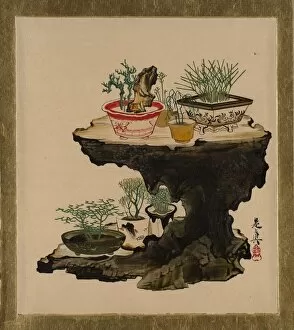 Lacquer Paintings of Various Subjects: Bonsai, 1882. Creator: Shibata Zeshin