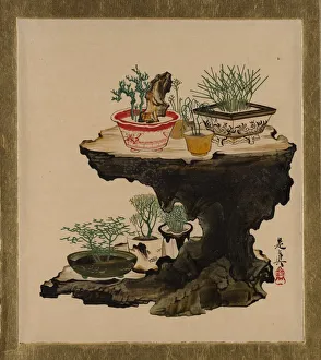 Bonsai Prints: Lacquer Paintings of Various Subjects: Bonsai, 1882. Creator: Shibata Zeshin