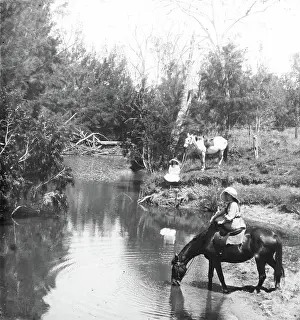 Bending Prints: Ladies giving their horses a drink