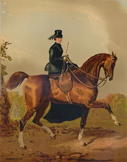 Riding Crop Prints: A Ladies Horse - The Property of the Late Earl of Pembroke, c1840s, (c1879). Creator