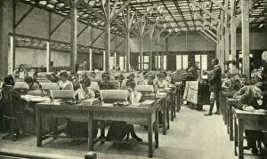 Administration Gallery: Lady Clerks Tabulating the American Census Returns, 1901. Creator: Unknown